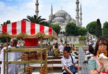 现在没有工作申请土耳其签证受影响吗？