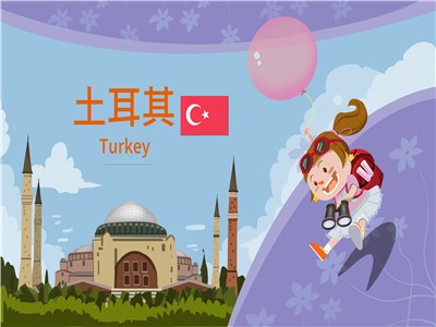 申请土耳其电子签证有哪些常见问题？